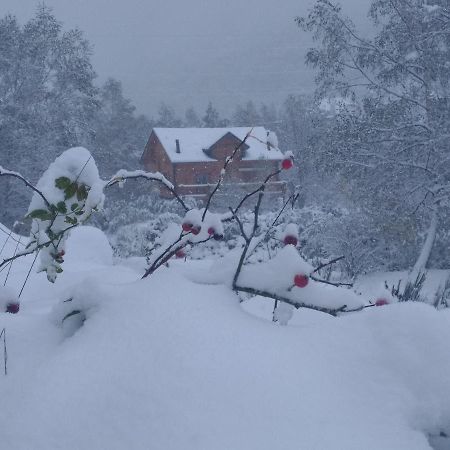 Chalet bois au milieu des Pyrénées LʼHospitalet-près-lʼAndorre Exterior foto